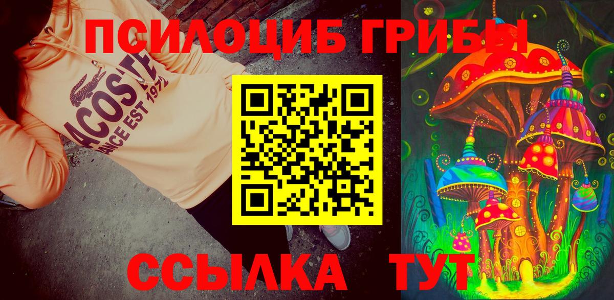 Галлюциногенные грибы GOLDEN TEACHER  Вход с VPN  Минусинск 